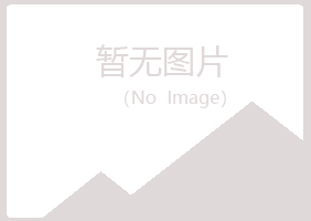 鹤岗南山平安化学有限公司